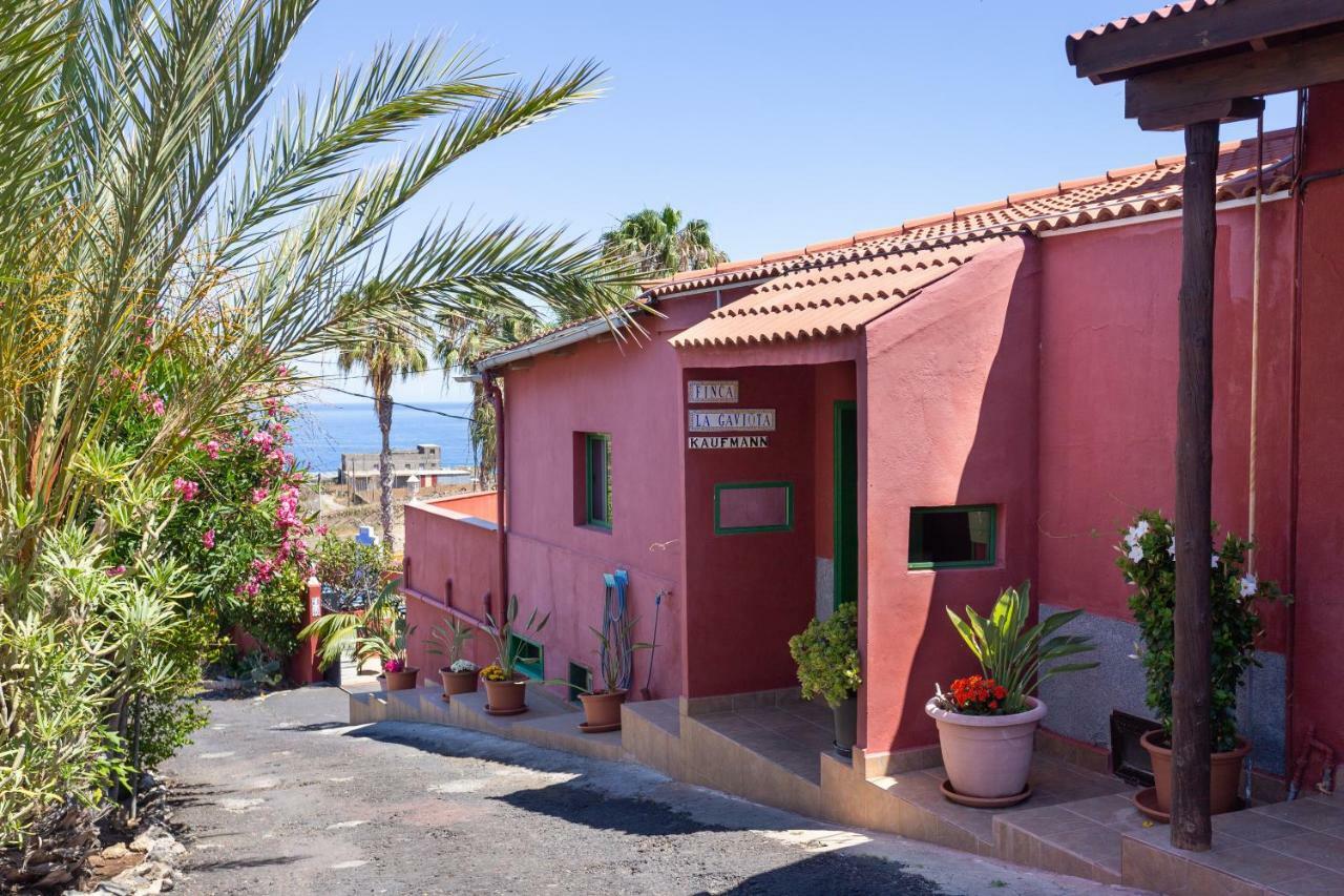Finca La Gaviota - Las Flores Icod de los Vinos Kültér fotó